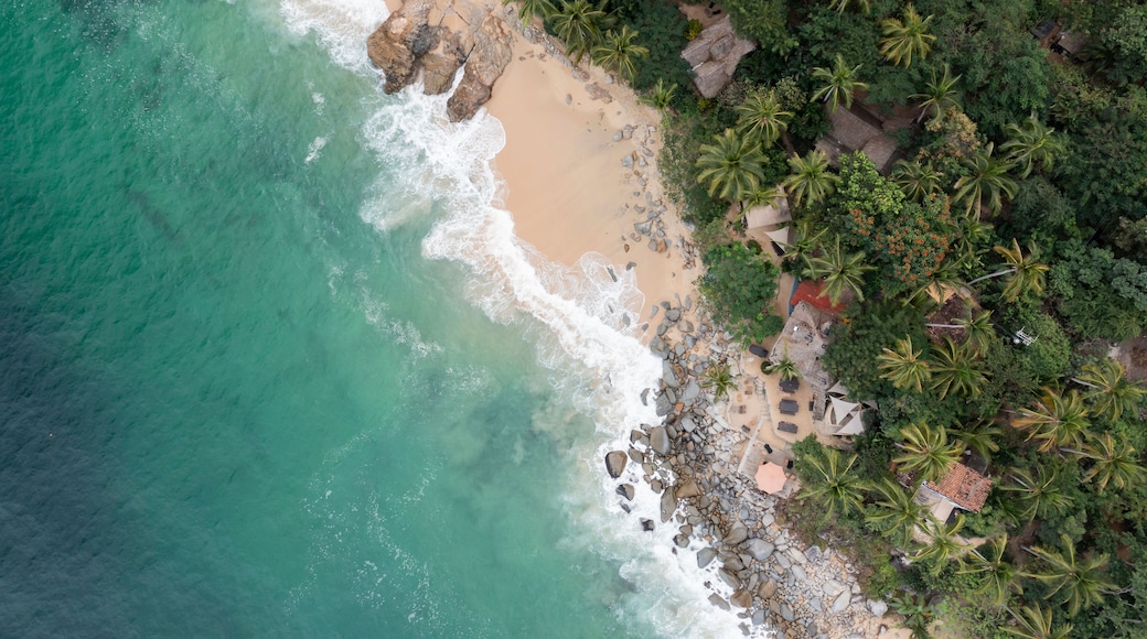 Aerial View of Casitas Marika beach, small beach huts and a thick cover of palm trees and forest.