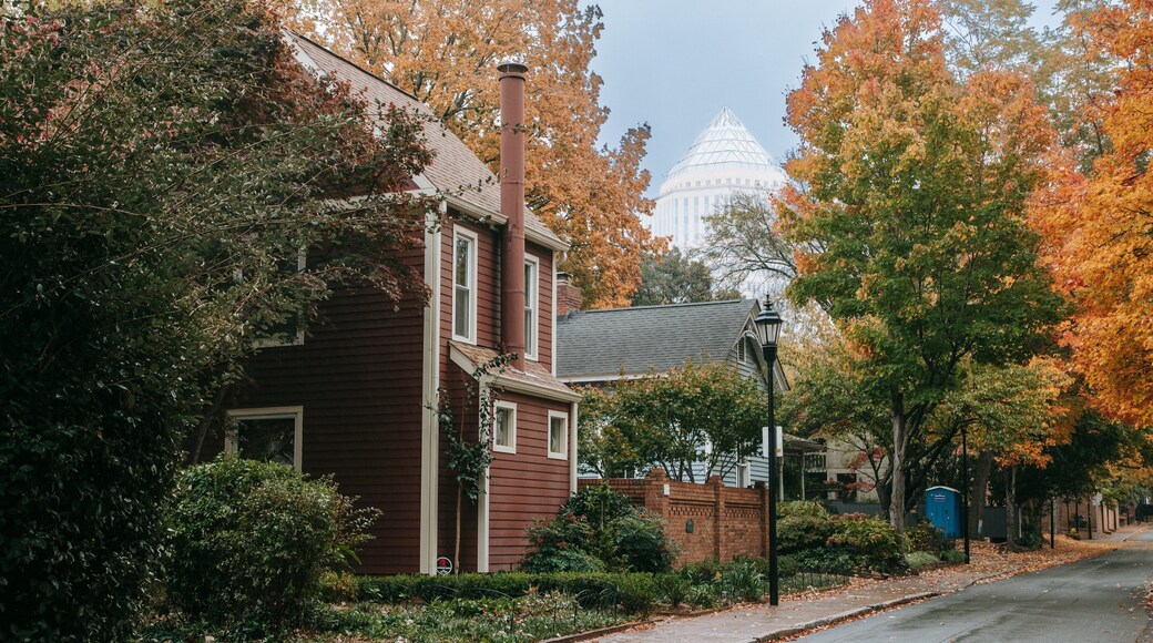 Fourth Ward which includes a house and a small town or village