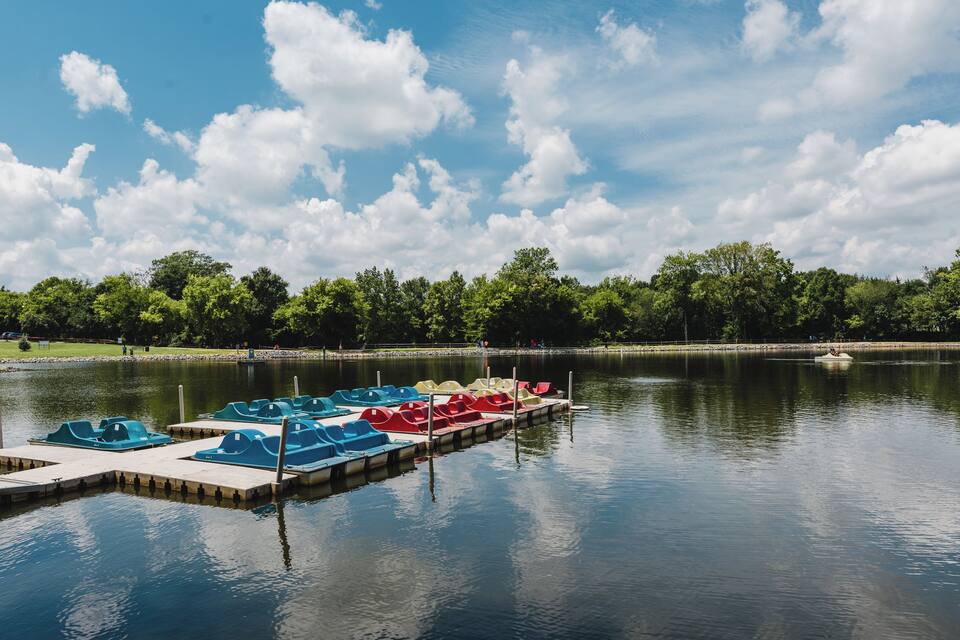 A calm lake with a row of colorful paddle boats docked at a pier, surrounded by lush greenery and a clear blue sky.