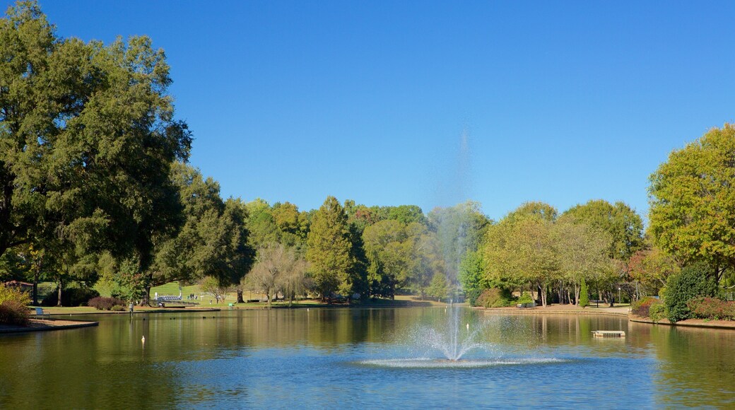 Freedom Park showing a park, a pond and a fountain