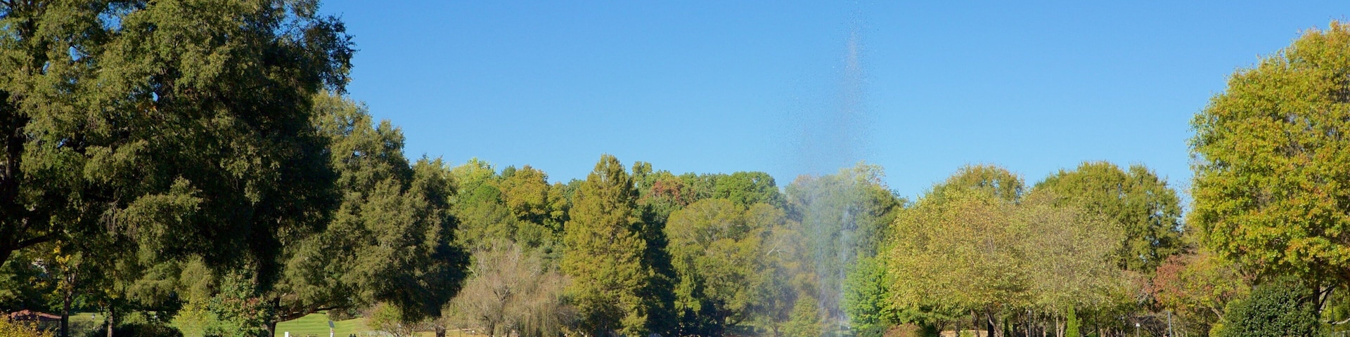 Freedom Park showing a park, a pond and a fountain