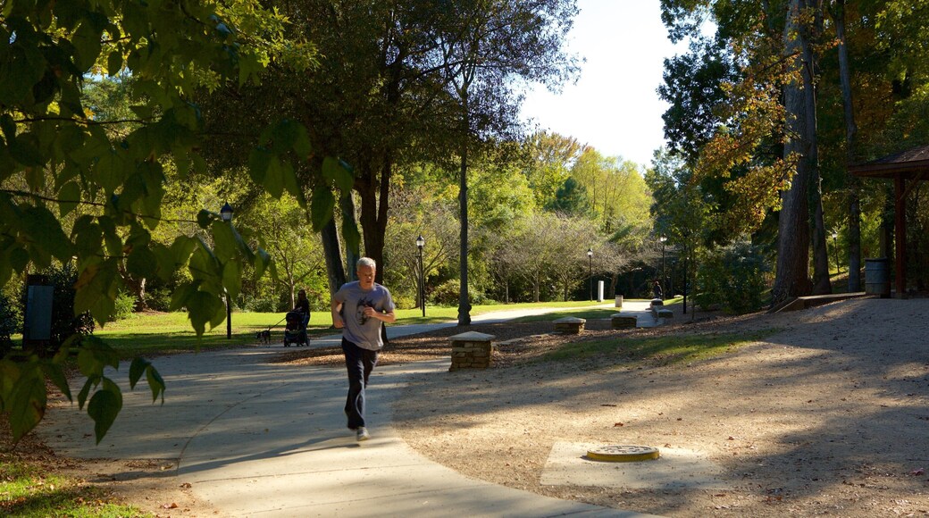 Praça da Liberdade som viser hage i tillegg til en mann