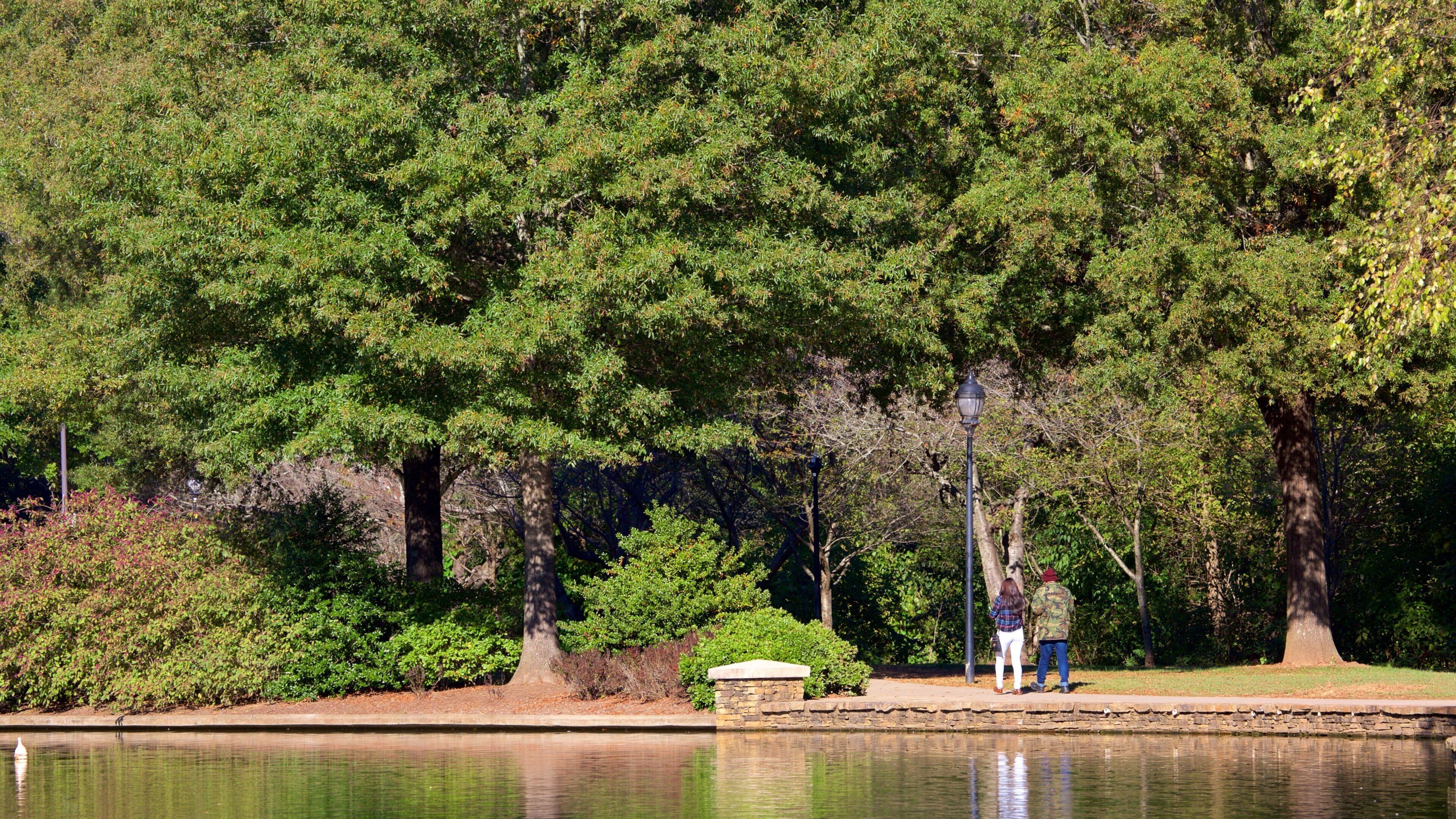 Freedom Park featuring a pond and a garden