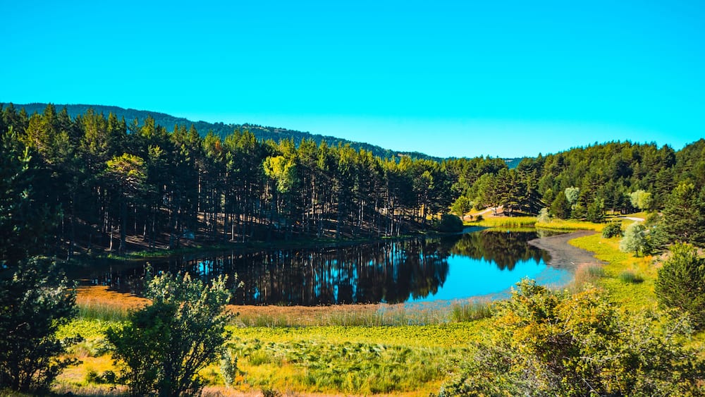 Ein stiller See, umgeben von dichten Wäldern und blauem Himmel.
