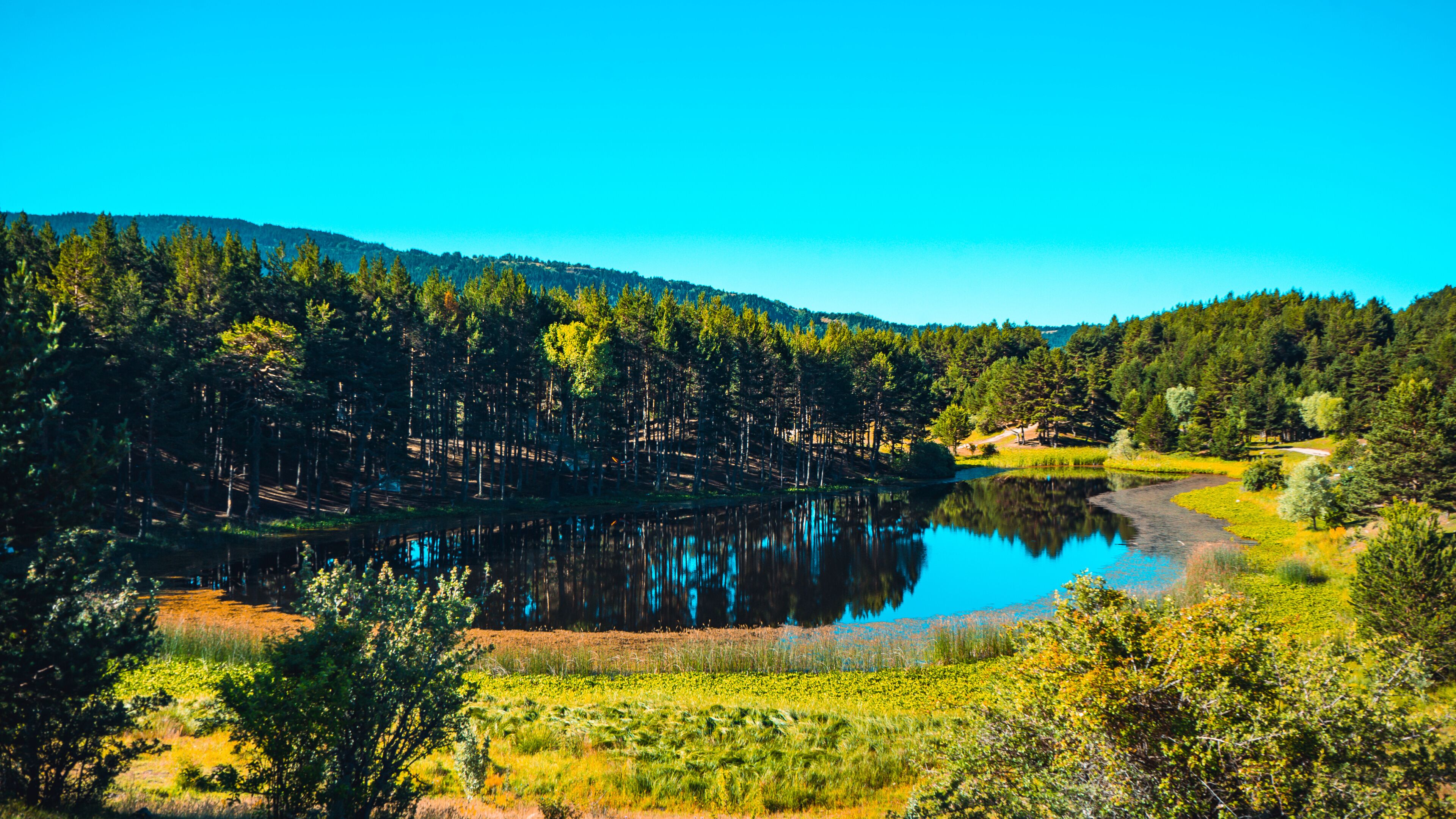 A serene lake surrounded by dense forests and a clear blue sky.