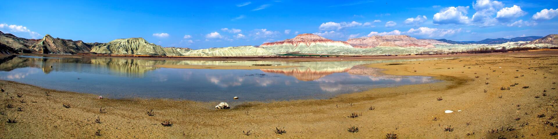 ankara turkey bird of paradise Nallihan