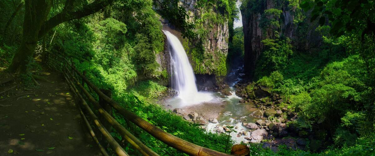 A lush forest with a waterfall cascading down a rocky cliff.