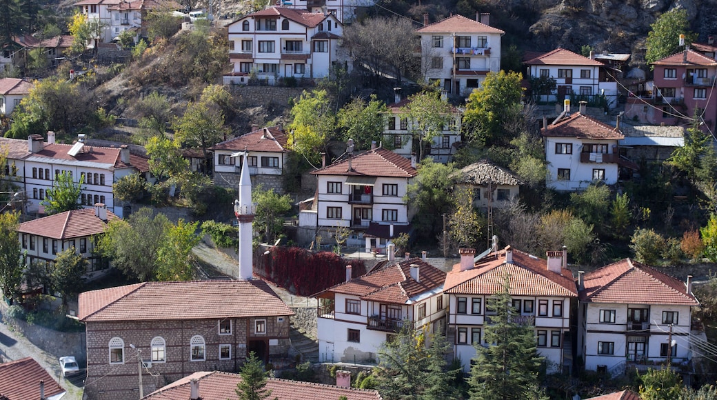 Traditional Turkish houses of Goynuk at Bolu / Turkey