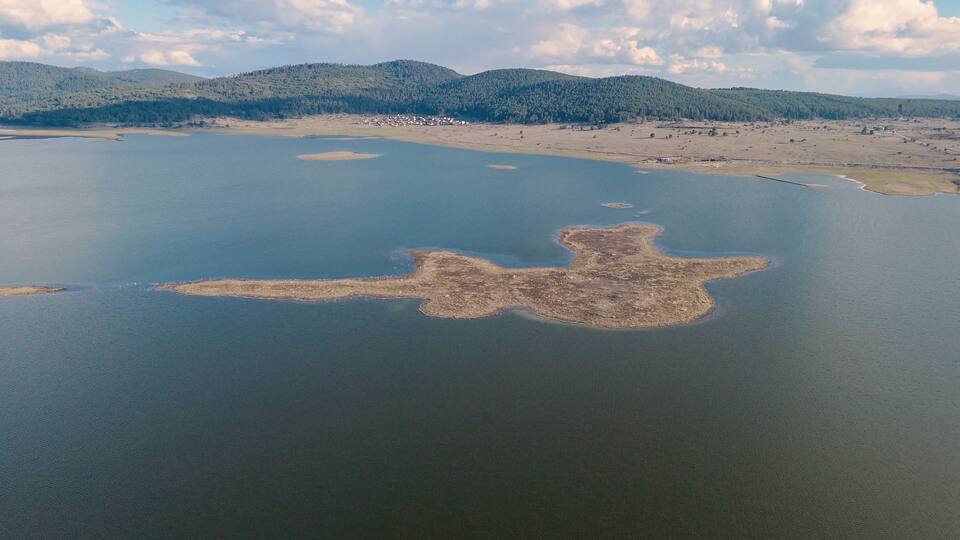 A lake with a unique island shaped like a bear.