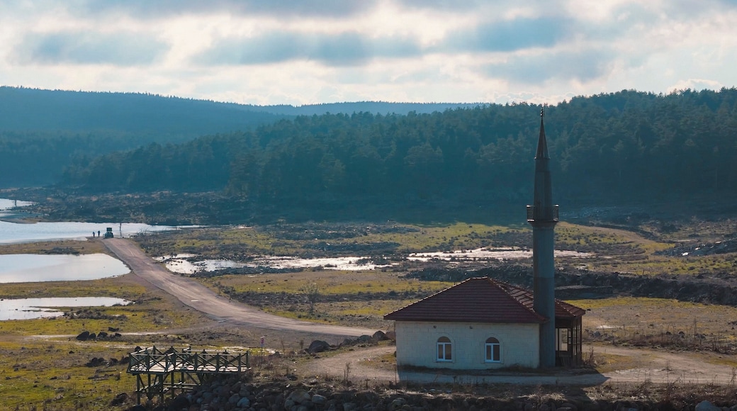 Bolu Seben Lake aerial drone photos mosque landscape trees in the water