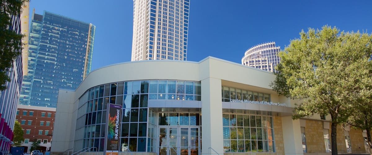 Museo del Nuevo Sur Levine mostrando un edificio de gran altura y una ciudad