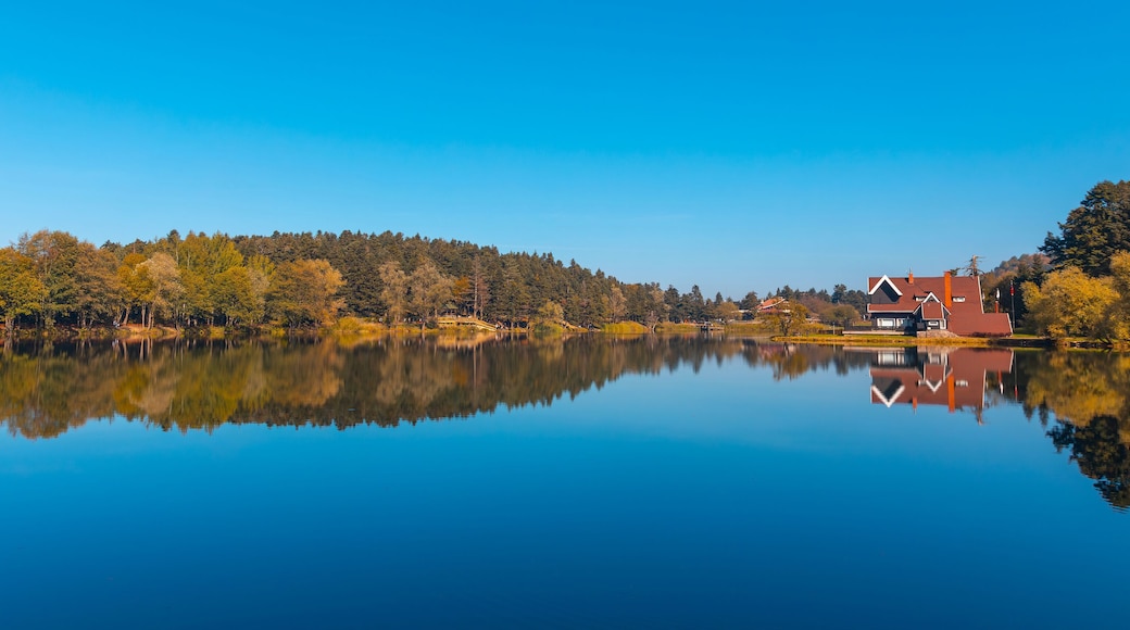 Bolu Golcuk Lake and famous house view with reflections.