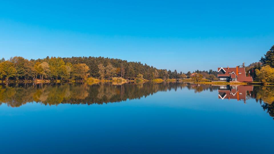 A calm lake with a clear reflection of trees and a house on the right.