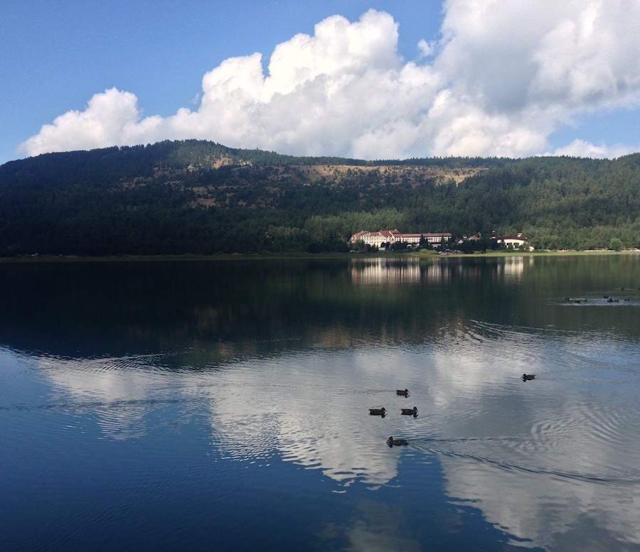 0_70ffca0b-c9b1-426d-87cf-207731573eb3_raw