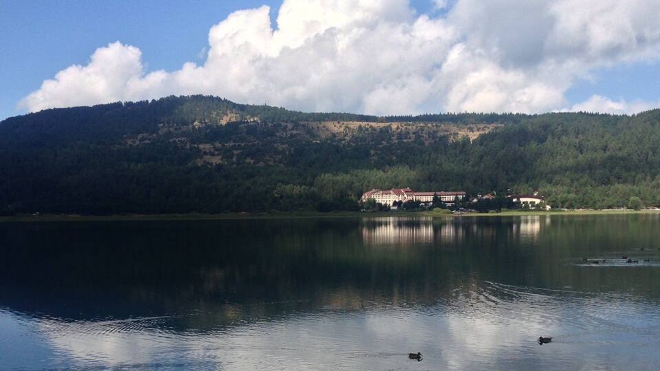 A calm lake with ducks swimming, surrounded by forested hills and a building with a red roof.