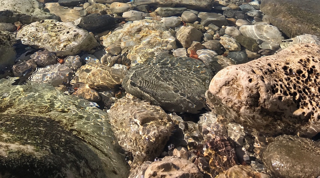 Muazzam bir sahil ve deniz doÄa harikası bir yer.
Amasra Bartın TĂŒrkiye