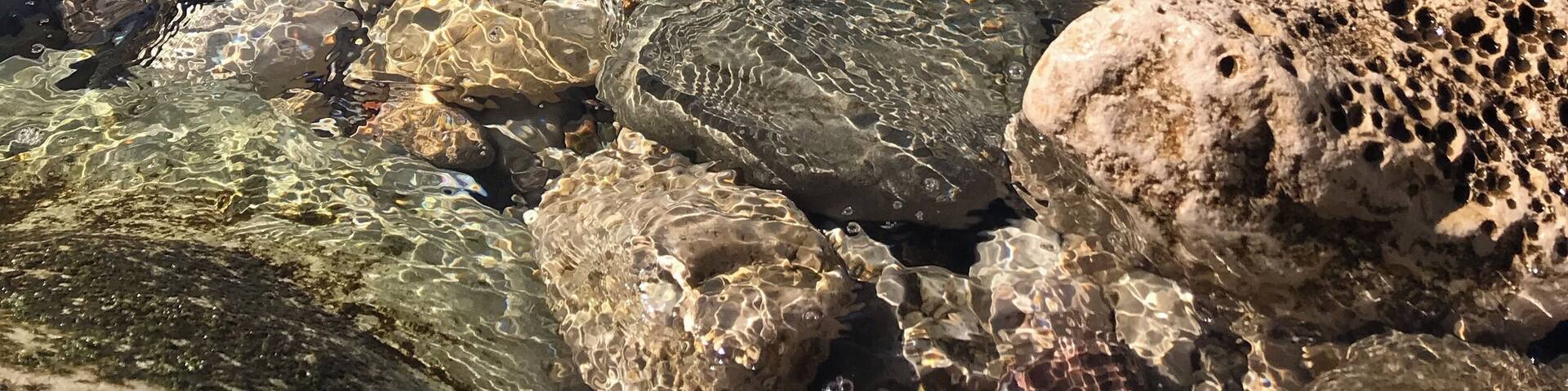 Muazzam bir sahil ve deniz doğa harikası bir yer.
Amasra Bartın Türkiye