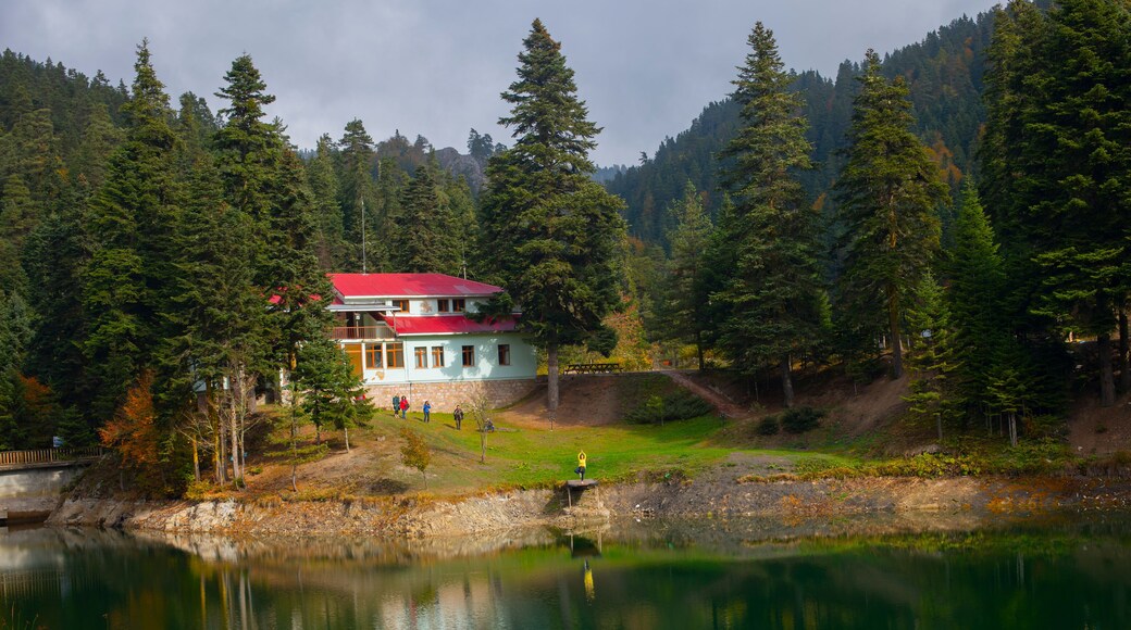 Akgöl Nature Park is located in the Ayancık district of Sinop province.