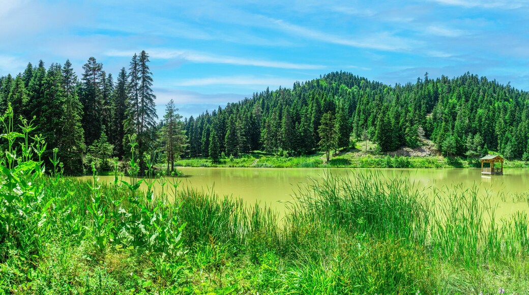 Akgöl, which consists of rich vegetation and attracts attention with its natural beauty in ayancık sinop