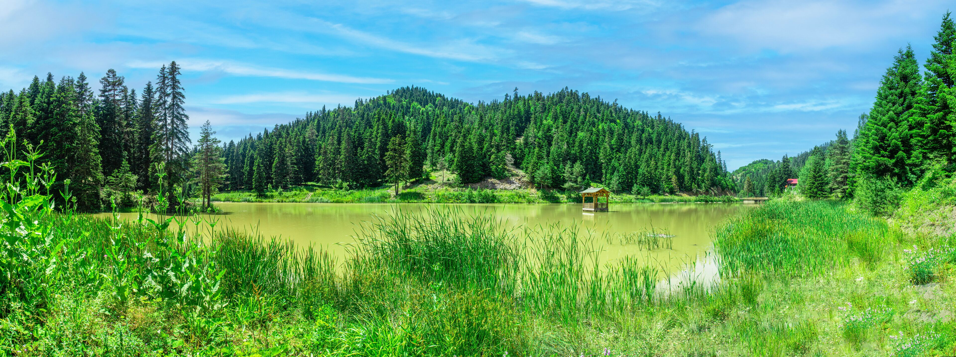 A serene lake surrounded by dense forest and a small gazebo.
