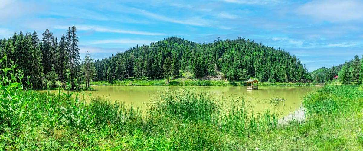 A serene lake surrounded by dense forest and a small gazebo.