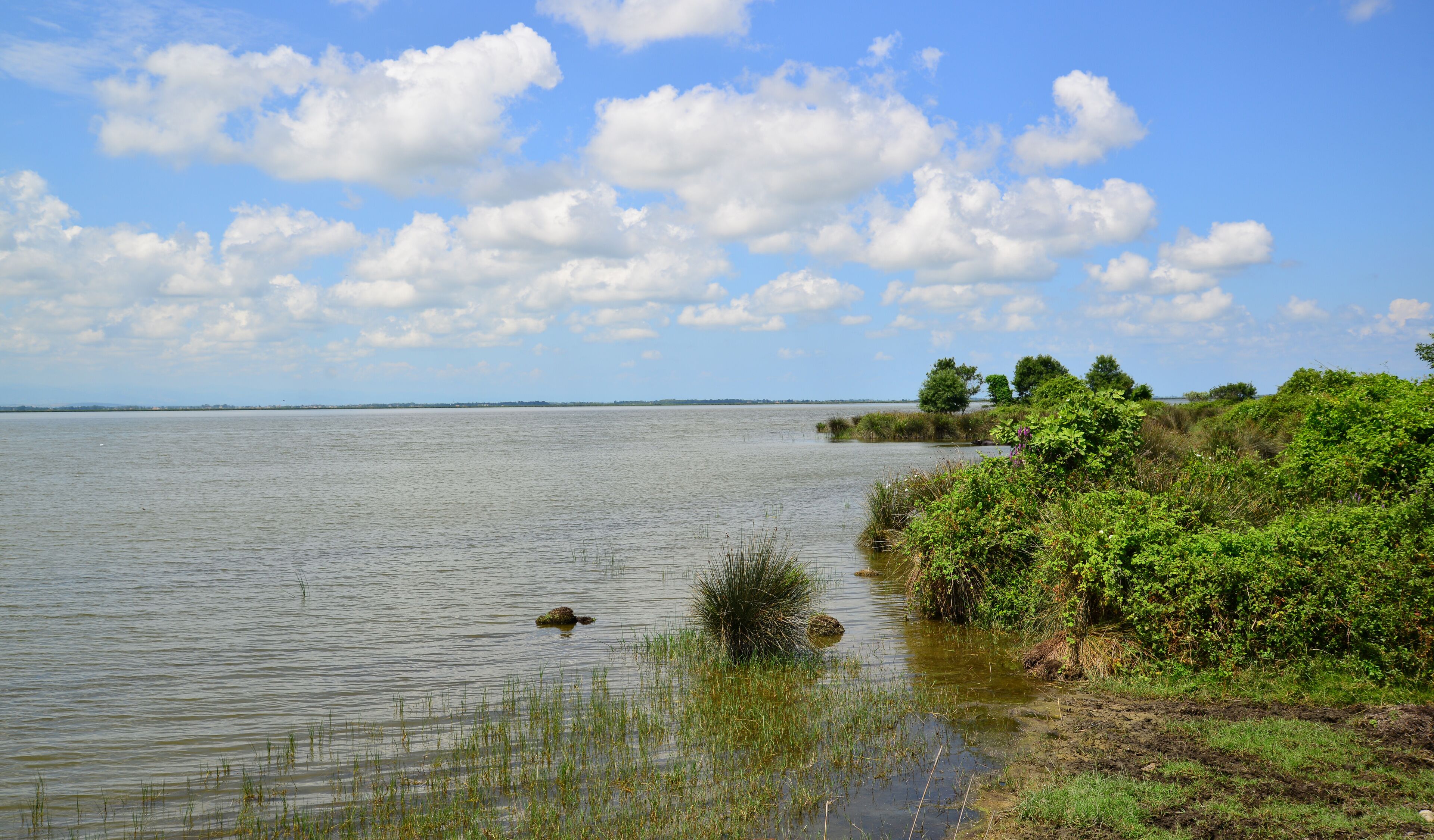 A view from the Kizilirmak Delta Bird Sanctuary in Bafra, Samsun, Turkey.