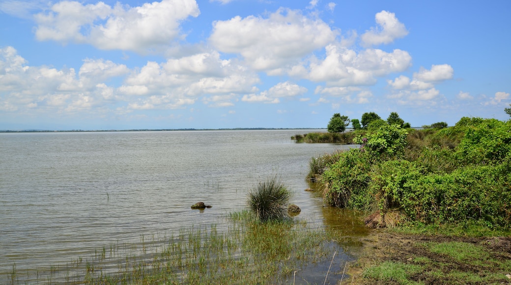 A view from the Kizilirmak Delta Bird Sanctuary in Bafra, Samsun, Turkey.