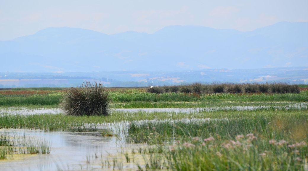 A view from the Kizilirmak Delta Bird Sanctuary in Bafra, Samsun, Turkey.