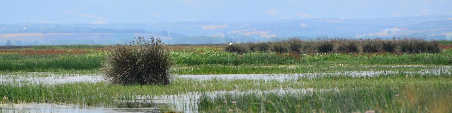 A view from the Kizilirmak Delta Bird Sanctuary in Bafra, Samsun, Turkey.