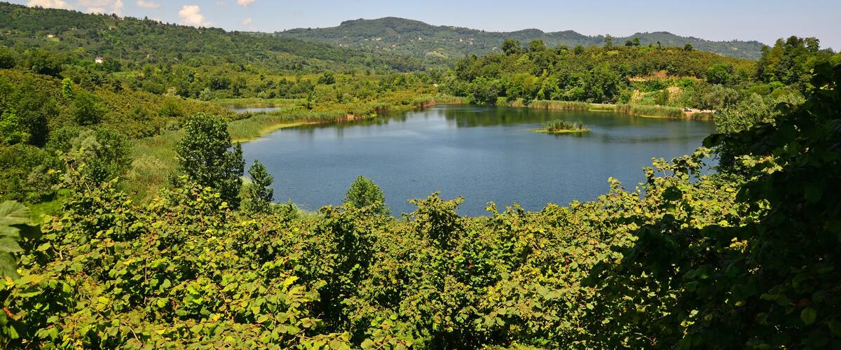 A lake surrounded by lush greenery and hills.