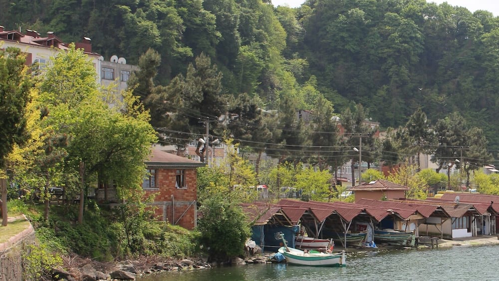 Fatsa, Ordu, Turkey
#SpringFun