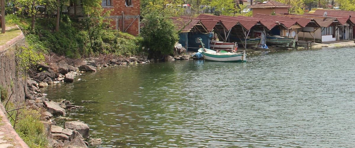 Fatsa, Ordu, Turkey
#SpringFun