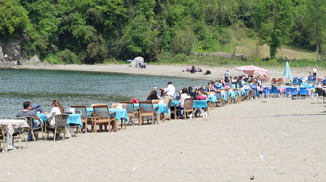 Fatsa, Ordu, Turkey
#SpringFun