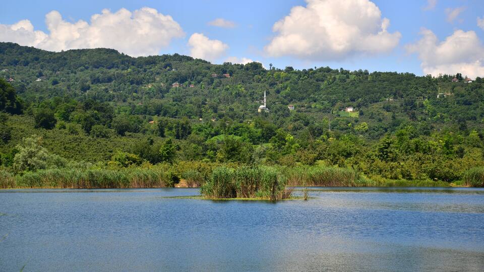 A lake surrounded by dense forest and a hill with a mosque.