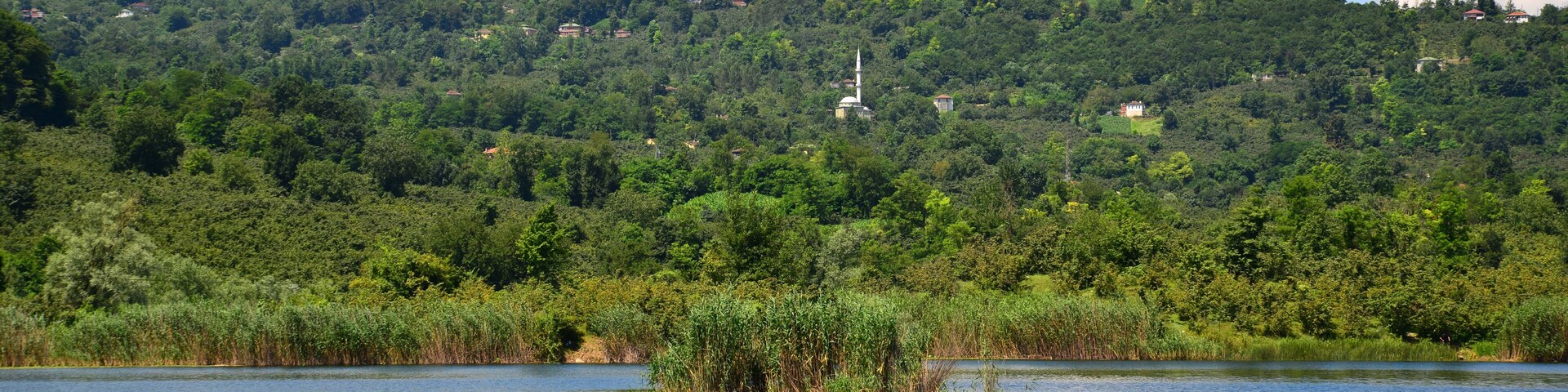 Un lago rodeado de bosque denso y una colina con una mezquita.