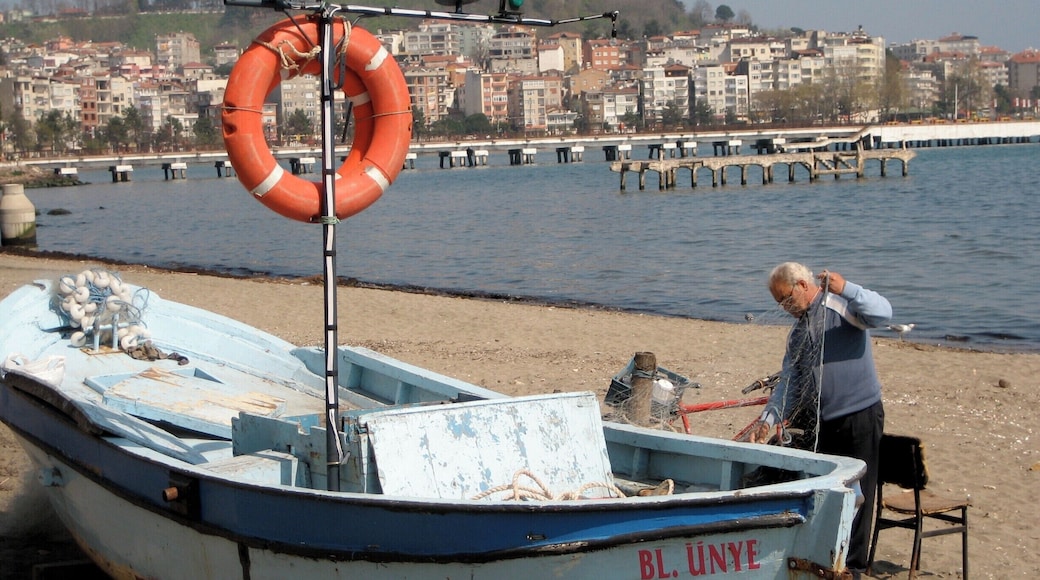 The beaches along the Black Sea in Turkey are not particularly for swimming and sunbathing. They are fishing areas.