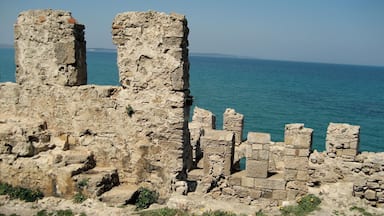 Is that a castle wall I see? They are literally everywhere in Turkey. That's the Black Sea that you are looking out towards. #Trove on