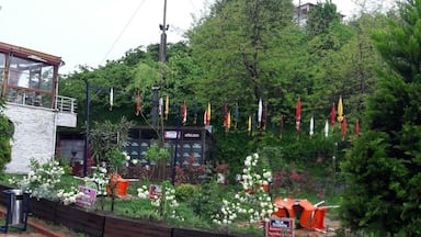 Tirebolu, Giresun, Turkey
#SpringFun