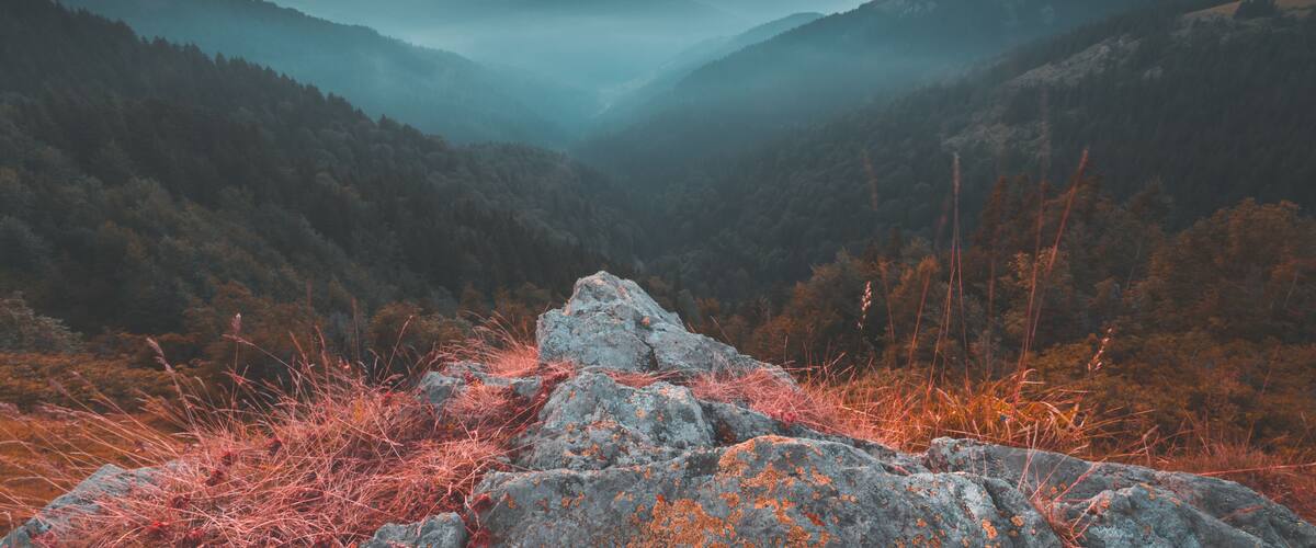 A mountainous landscape with a rocky foreground and dense forests.