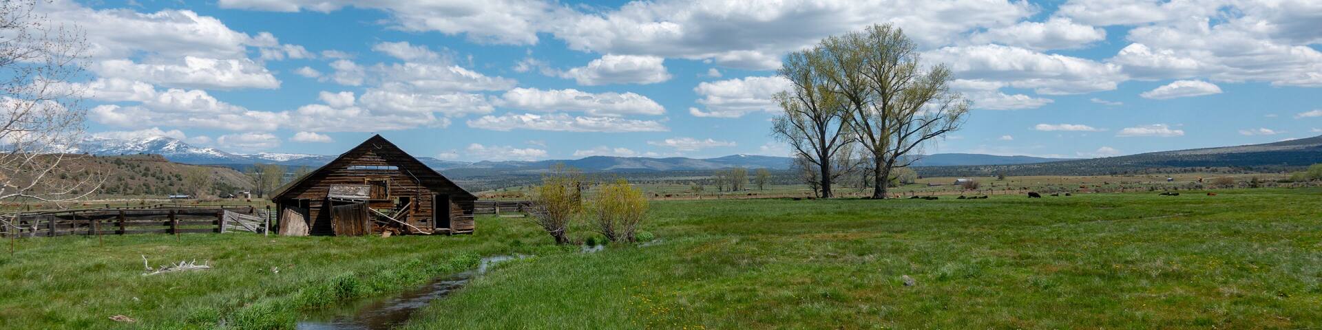 A rustic decrepit barn in a meadow under white clouds and blue sky in rural California.