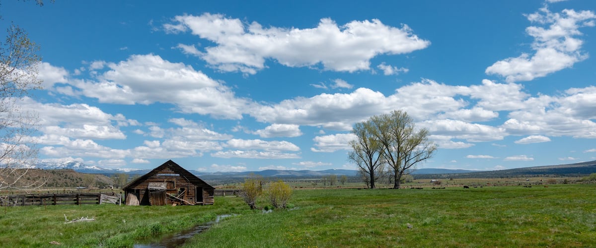 A rustic barn, a clear blue sky, and a green field with a tree.
