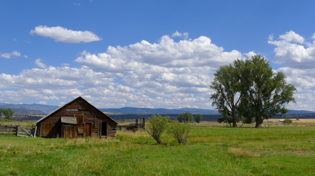 Beautiful decrepit wood barn under the blue skies of rural Northern California in the Warner Mountains