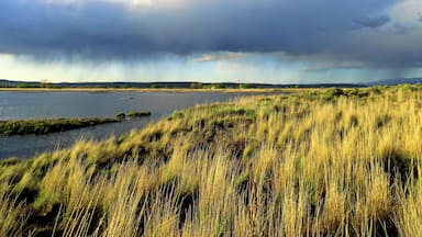 A thunderstorm slowly builds in the distance at the Modoc National Wildlife Refuge
www.tonybendelephotography.com
#Outdoors #Nature #Landscape #Lake #Sky #Clouds #Colorful #Beautiful #Travel #Adventure
