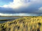 A thunderstorm slowly builds in the distance at the Modoc National Wildlife Refuge
www.tonybendelephotography.com
#Outdoors #Nature #Landscape #Lake #Sky #Clouds #Colorful #Beautiful #Travel #Adventure