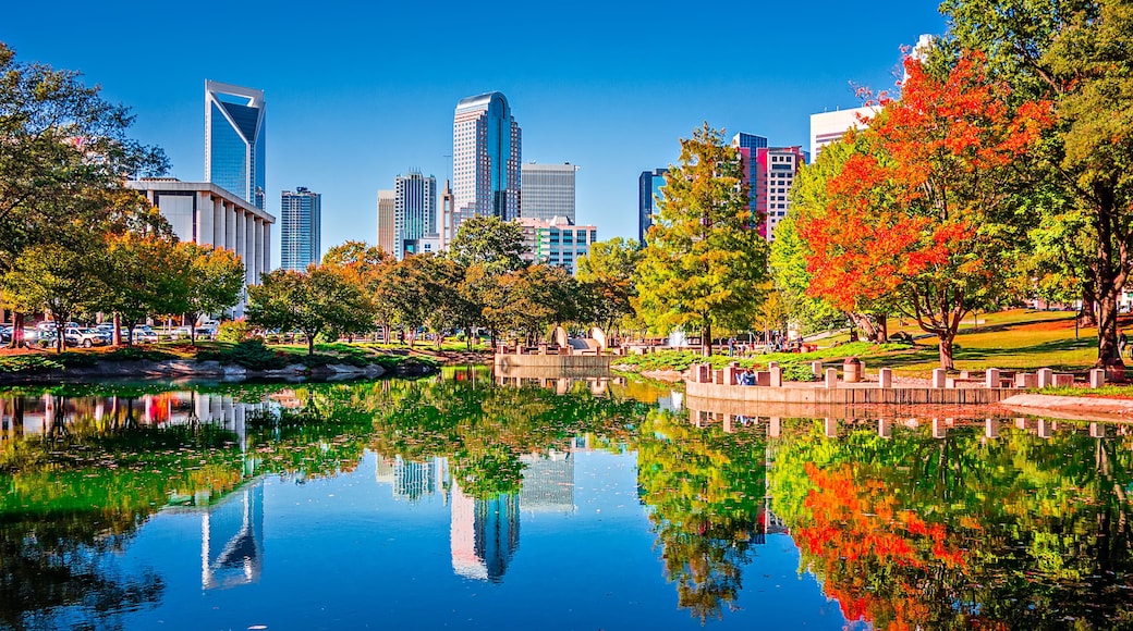 charlotte city skyline from marshall park autumn season with blu