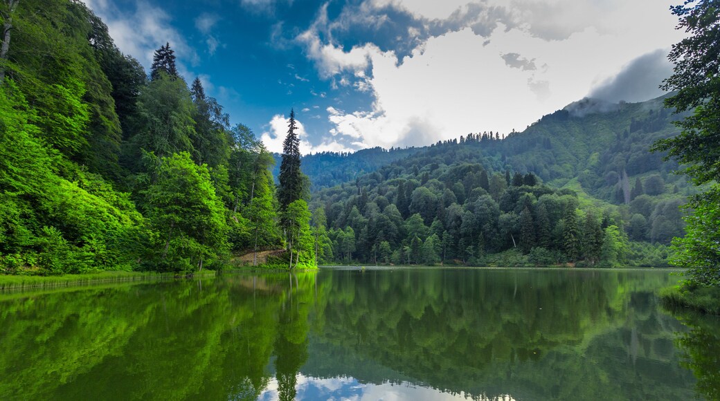 Landscape view of Karagol (Black lake) in Savsat,Artvin,Turkey