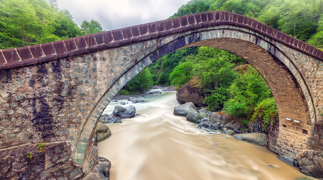 Landscape of the Double Bridge (Turkish: Cifte Kopru). It is the name for two small adjacent historic bridges in Arhavi, Artvin Province, northeastern Turkey.