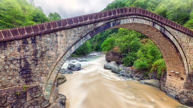 Landscape of the Double Bridge (Turkish: Cifte Kopru). It is the name for two small adjacent historic bridges in Arhavi, Artvin Province, northeastern Turkey.