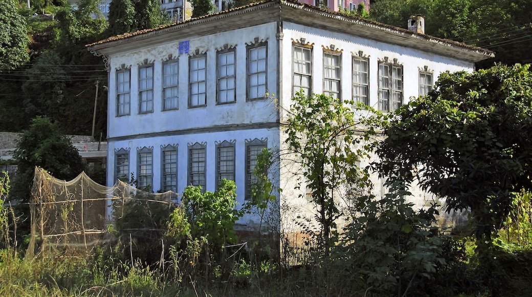 ์๋ฅด๋ฏธ๋ค