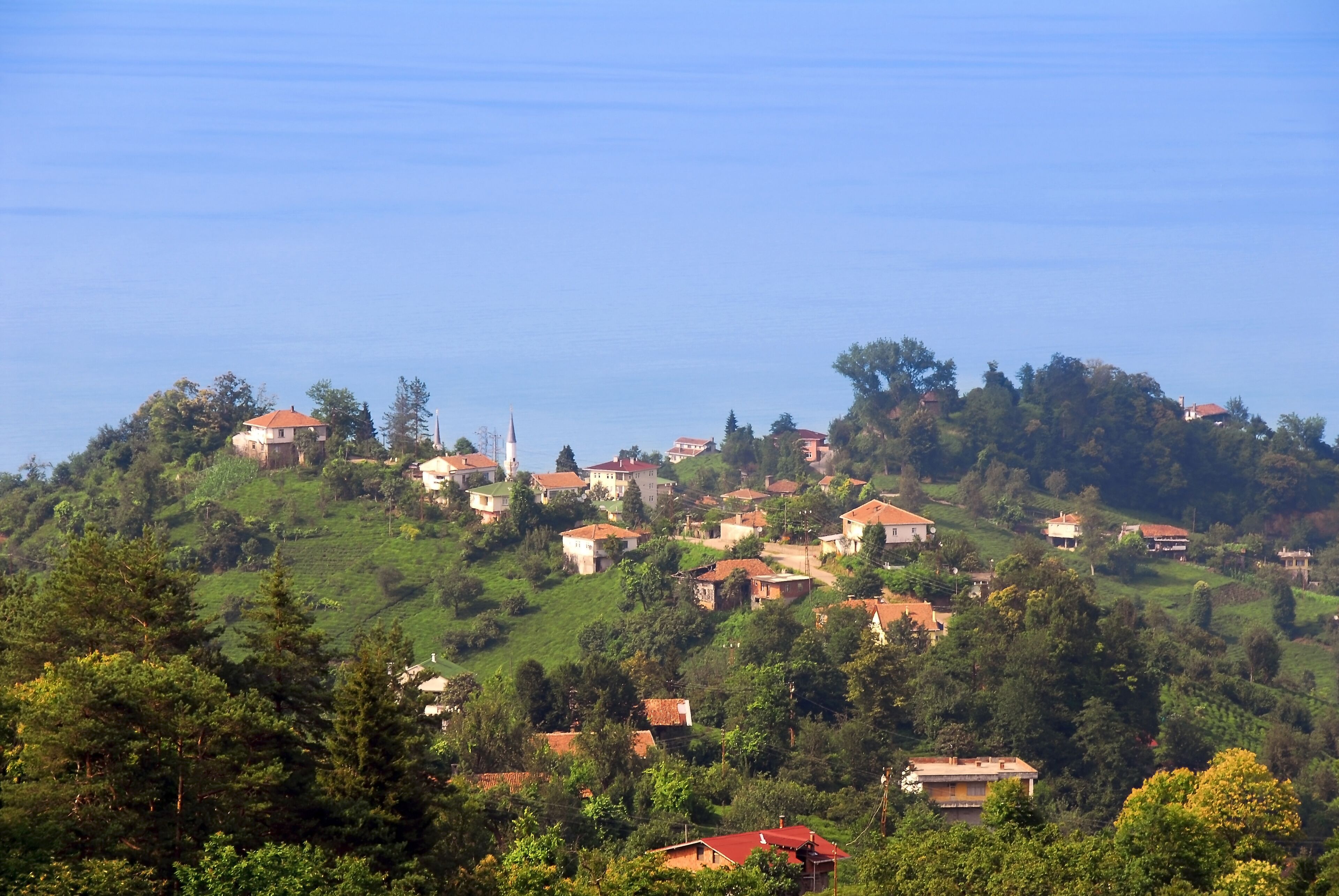 TRABZON, TURKEY - JUNE 28, 2008: Bastimar Quarter, Tea plantations and Black Sea. Surmene District